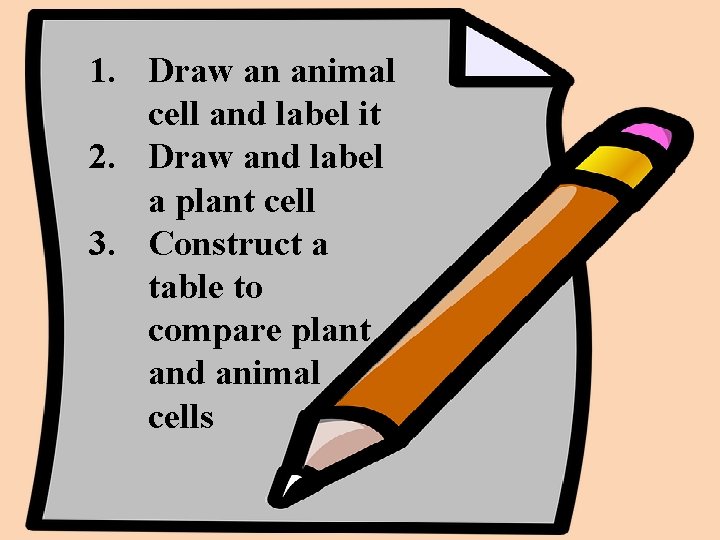 1. Draw an animal cell and label it 2. Draw and label a plant