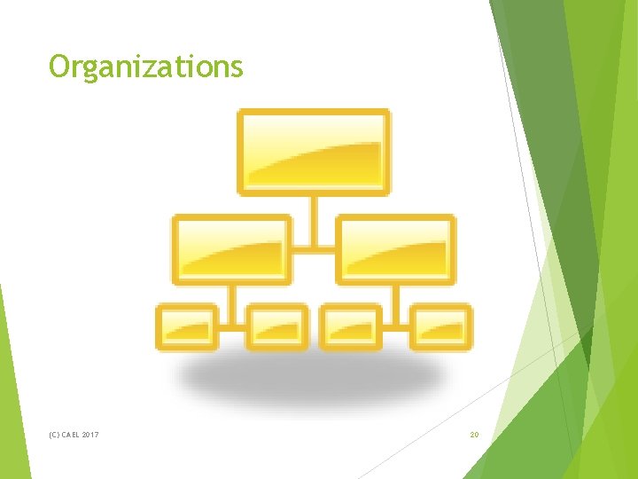Organizations (C) CAEL 2017 20 Organizations (C) CAEL 2017 20