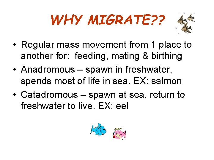 WHY MIGRATE? ? • Regular mass movement from 1 place to another for: feeding,