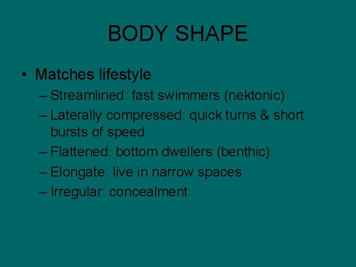 BODY SHAPE • Matches lifestyle – Streamlined: fast swimmers (nektonic) – Laterally compressed: quick
