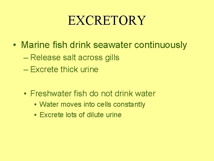 EXCRETORY • Marine fish drink seawater continuously – Release salt across gills – Excrete