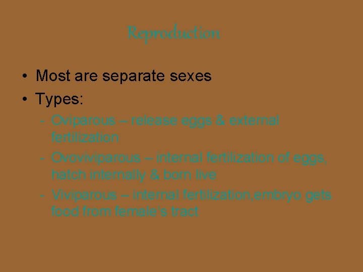 Reproduction • Most are separate sexes • Types: - Oviparous – release eggs &