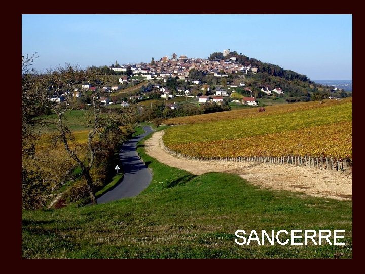 SANCERRE 