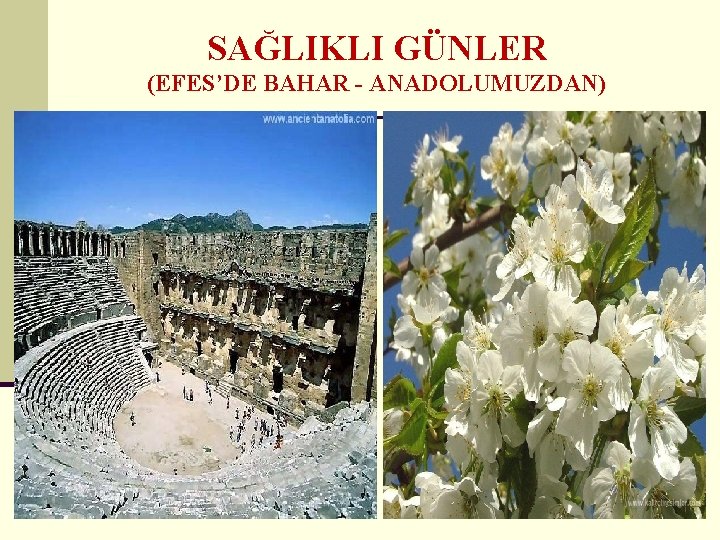 SAĞLIKLI GÜNLER (EFES’DE BAHAR - ANADOLUMUZDAN) 