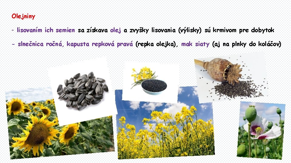 Olejniny - lisovaním ich semien sa získava olej a zvyšky lisovania (výlisky) sú krmivom