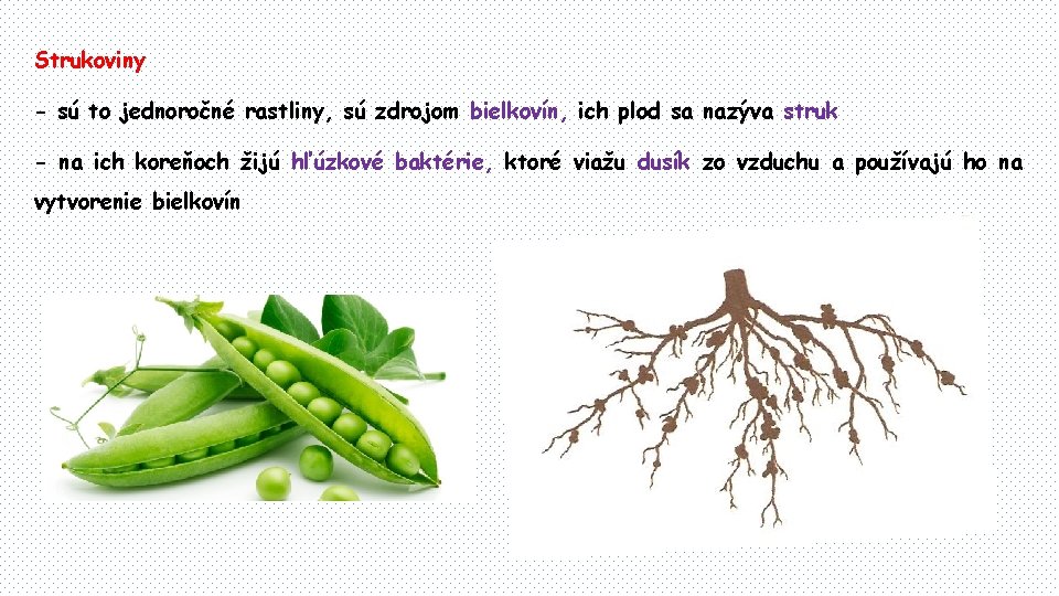 Strukoviny - sú to jednoročné rastliny, sú zdrojom bielkovín, ich plod sa nazýva struk