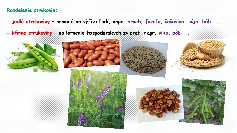 Rozdelenie strukovín: - jedlé strukoviny – semená na výživu ľudí, napr. hrach, fazuľa, šošovica,