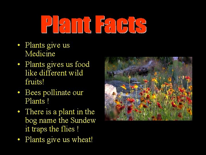  • Plants give us Medicine • Plants gives us food like different wild