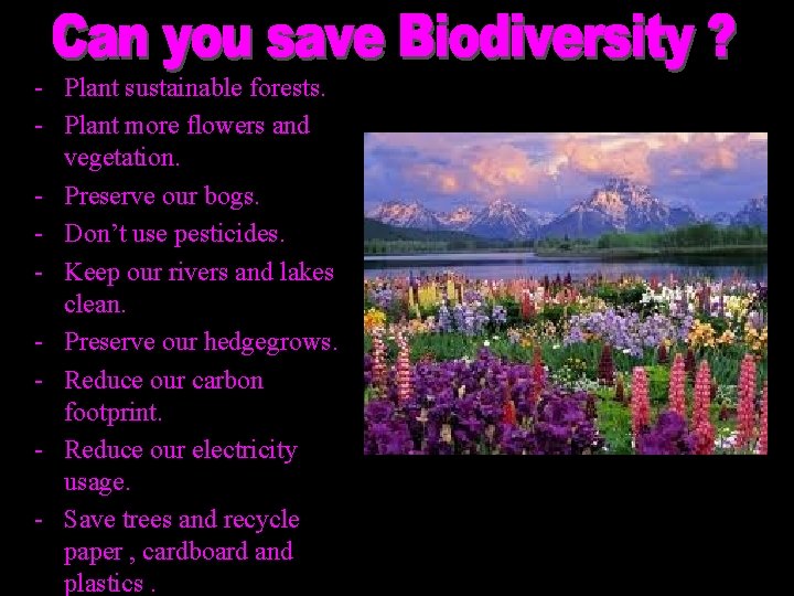 - Plant sustainable forests. - Plant more flowers and vegetation. - Preserve our bogs.