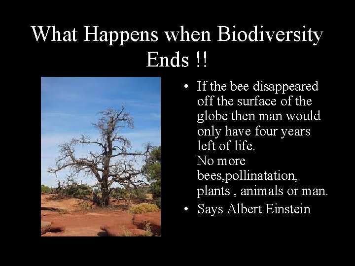 What Happens when Biodiversity Ends !! • If the bee disappeared off the surface