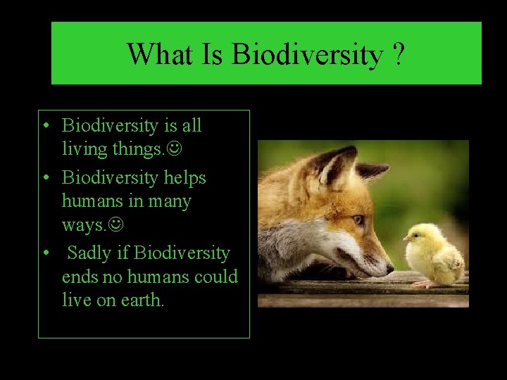 What Is Biodiversity ? • Biodiversity is all living things. • Biodiversity helps humans