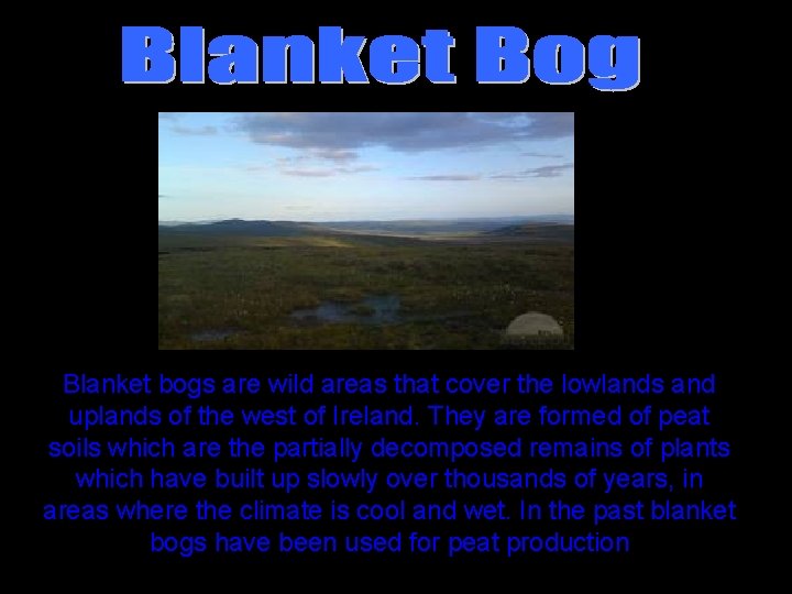 Blanket bogs are wild areas that cover the lowlands and uplands of the west