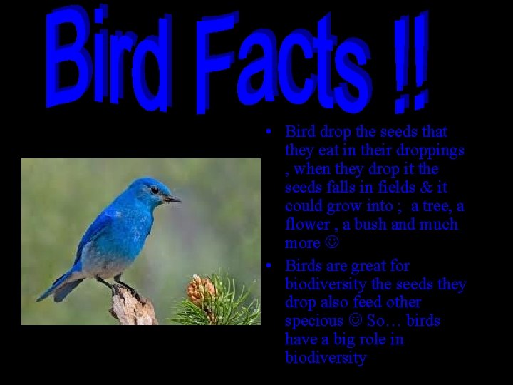  • Bird drop the seeds that they eat in their droppings , when
