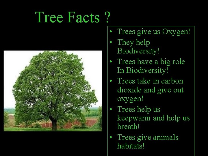 Tree Facts ? • Trees give us Oxygen! • They help Biodiversity! • Trees