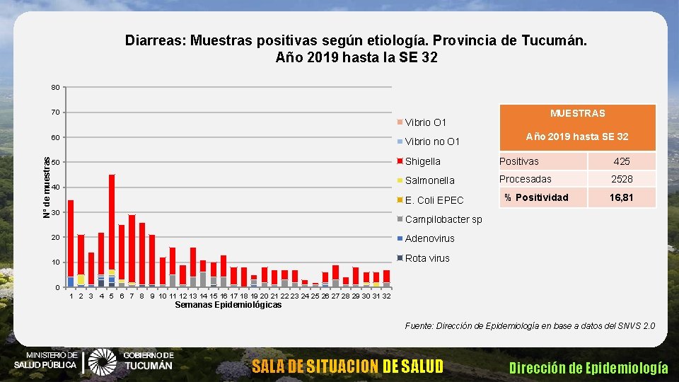 Diarreas: Muestras positivas según etiología. Provincia de Tucumán. Año 2019 hasta la SE 32