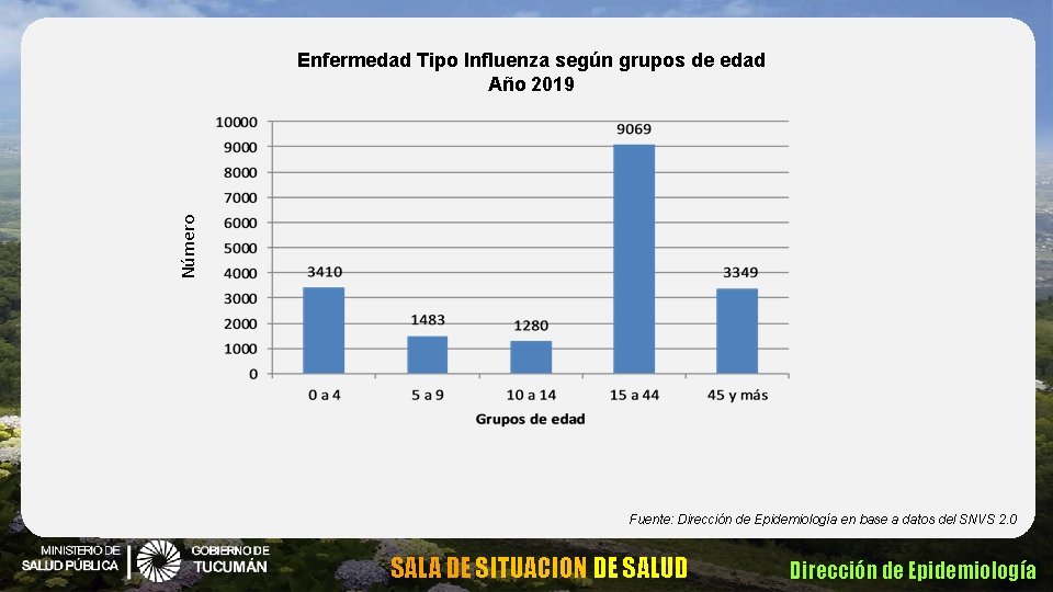 Número Enfermedad Tipo Influenza según grupos de edad Año 2019 Fuente: Dirección de Epidemiología