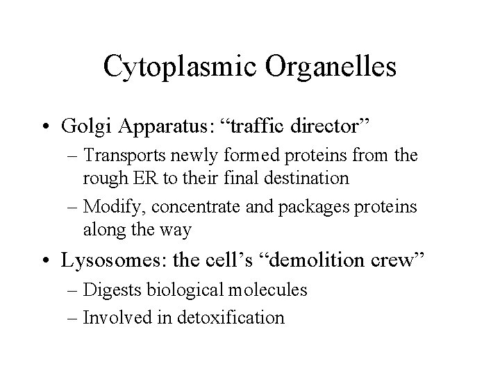 Cytoplasmic Organelles • Golgi Apparatus: “traffic director” – Transports newly formed proteins from the