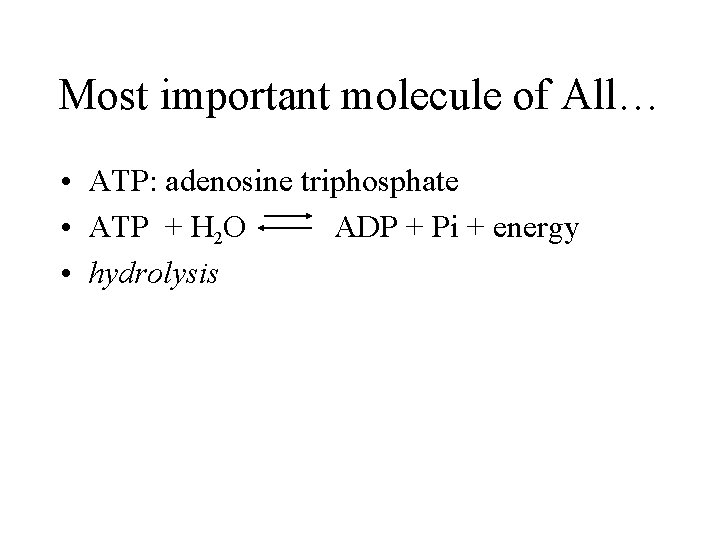 Most important molecule of All… • ATP: adenosine triphosphate • ATP + H 2