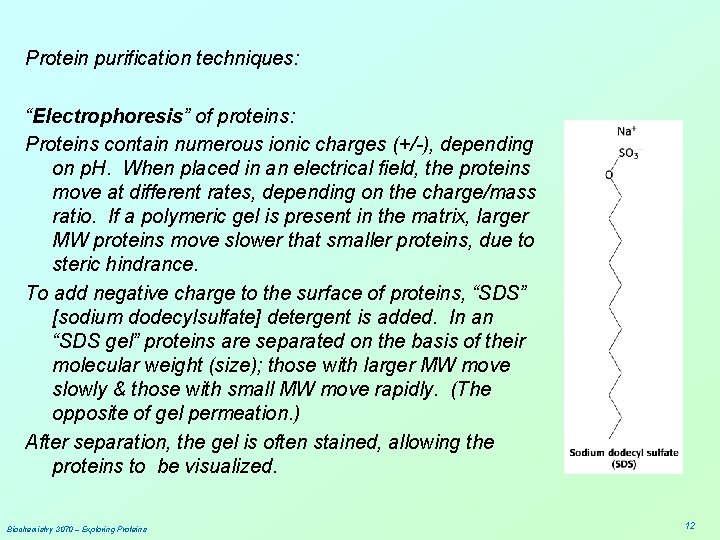 Protein purification techniques: “Electrophoresis” of proteins: Proteins contain numerous ionic charges (+/-), depending on