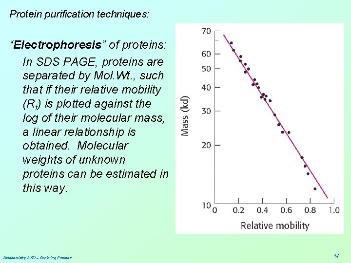 Protein purification techniques: “Electrophoresis” of proteins: In SDS PAGE, proteins are separated by Mol.