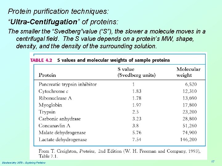 Protein purification techniques: “Ultra-Centifugation” of proteins: The smaller the “Svedberg”value (“S”), the slower a