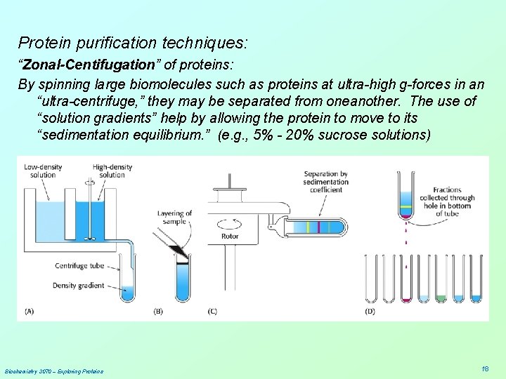 Protein purification techniques: “Zonal-Centifugation” of proteins: By spinning large biomolecules such as proteins at
