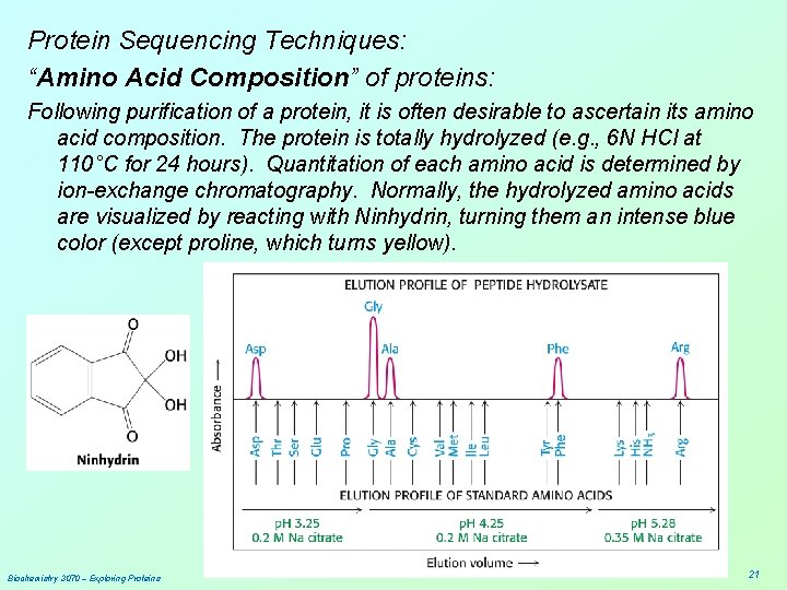 Protein Sequencing Techniques: “Amino Acid Composition” of proteins: Following purification of a protein, it
