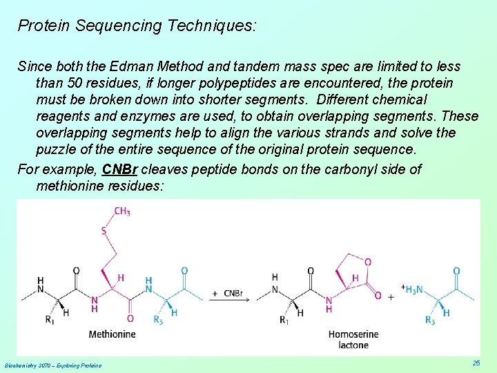 Protein Sequencing Techniques: Since both the Edman Method and tandem mass spec are limited