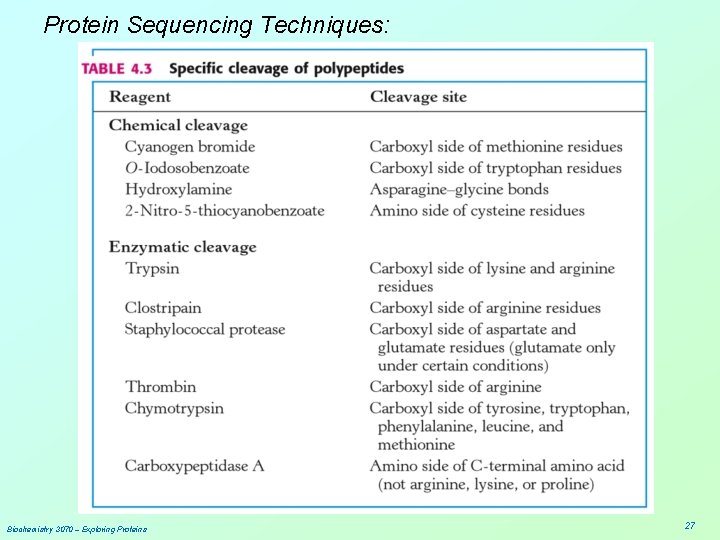 Protein Sequencing Techniques: Biochemistry 3070 – Exploring Proteins 27 