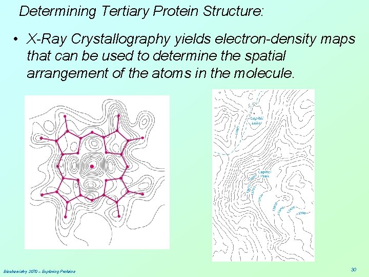 Determining Tertiary Protein Structure: • X-Ray Crystallography yields electron-density maps that can be used