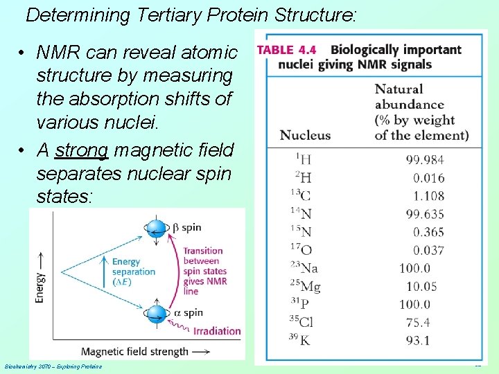 Determining Tertiary Protein Structure: • NMR can reveal atomic structure by measuring the absorption
