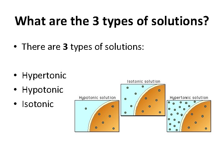 What are the 3 types of solutions? • There are 3 types of solutions: