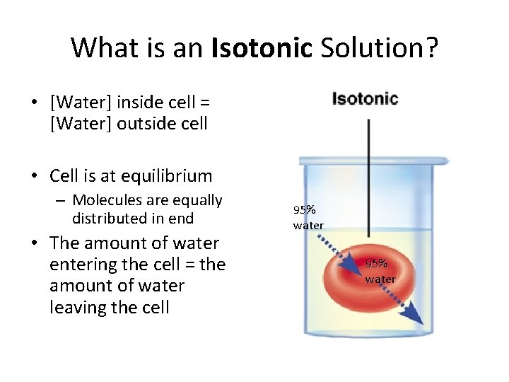 What is an Isotonic Solution? • [Water] inside cell = [Water] outside cell •