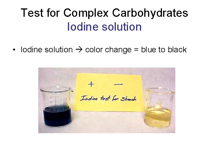 Test for Complex Carbohydrates Iodine solution • Iodine solution color change = blue to