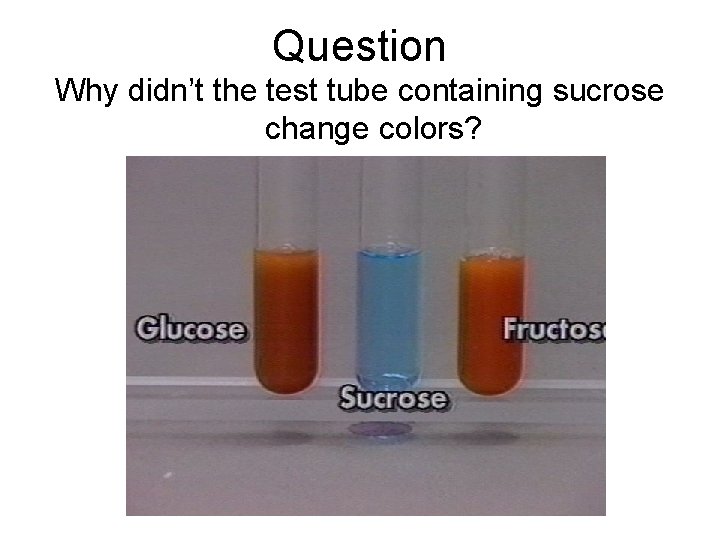 Question Why didn’t the test tube containing sucrose change colors? 