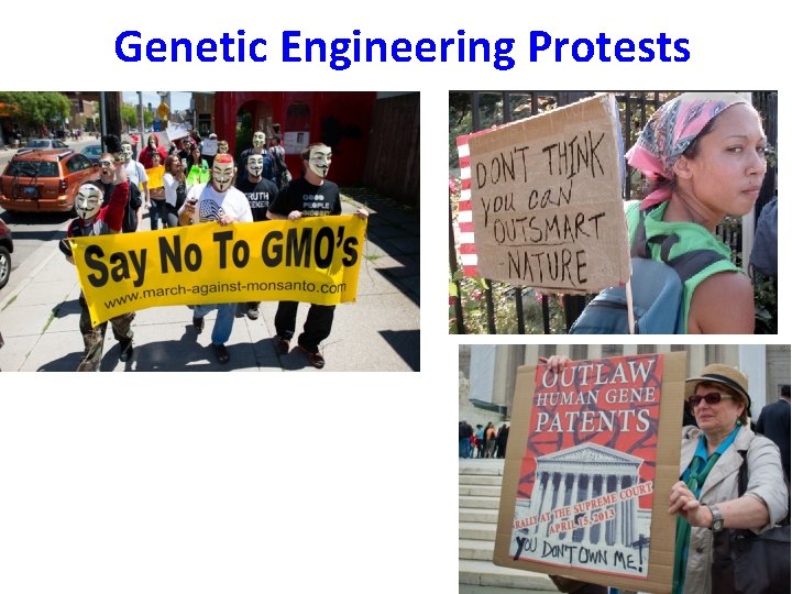 Genetic Engineering Protests 