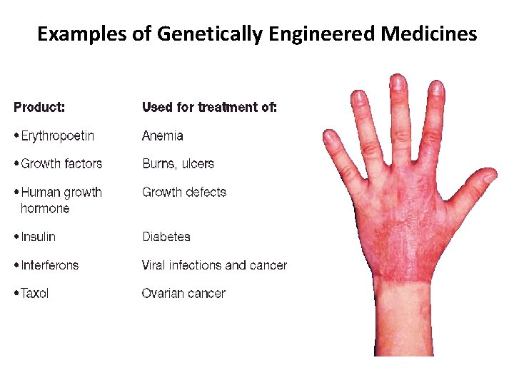 Examples of Genetically Engineered Medicines 