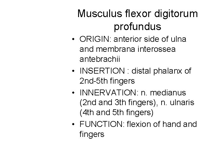 Musculus flexor digitorum profundus • ORIGIN: anterior side of ulna and membrana interossea antebrachii Musculus flexor digitorum profundus • ORIGIN: anterior side of ulna and membrana interossea antebrachii