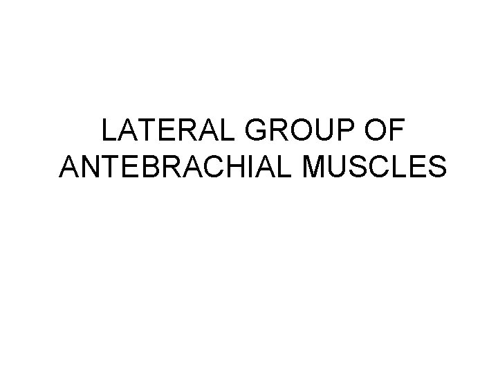 LATERAL GROUP OF ANTEBRACHIAL MUSCLES LATERAL GROUP OF ANTEBRACHIAL MUSCLES