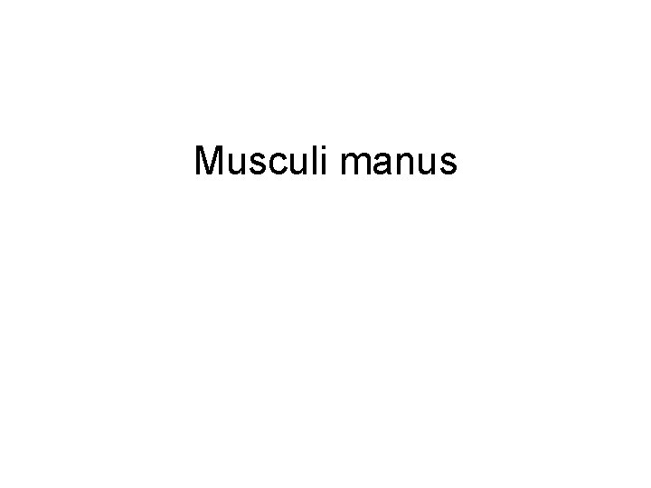 Musculi manus Musculi manus