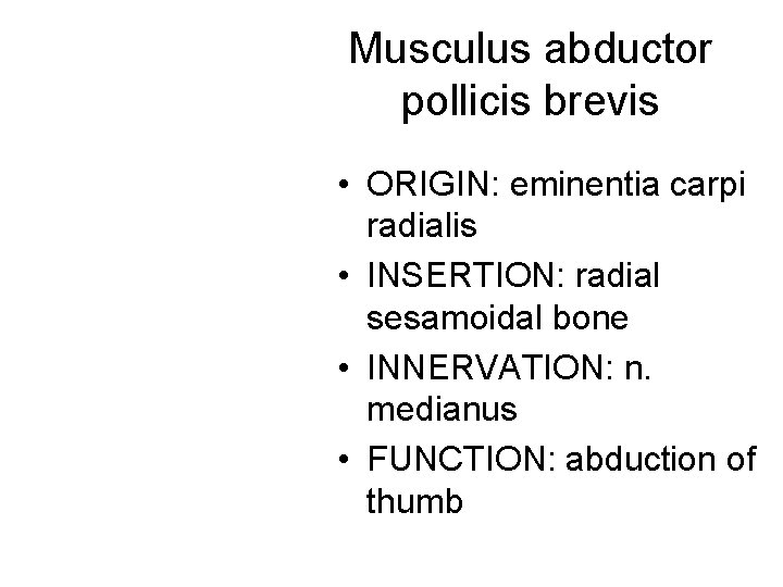 Musculus abductor pollicis brevis • ORIGIN: eminentia carpi radialis • INSERTION: radial sesamoidal bone Musculus abductor pollicis brevis • ORIGIN: eminentia carpi radialis • INSERTION: radial sesamoidal bone