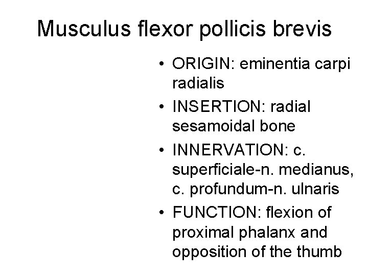 Musculus flexor pollicis brevis • ORIGIN: eminentia carpi radialis • INSERTION: radial sesamoidal bone Musculus flexor pollicis brevis • ORIGIN: eminentia carpi radialis • INSERTION: radial sesamoidal bone