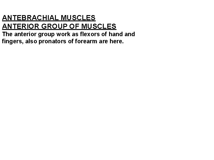 ANTEBRACHIAL MUSCLES ANTERIOR GROUP OF MUSCLES The anterior group work as flexors of hand ANTEBRACHIAL MUSCLES ANTERIOR GROUP OF MUSCLES The anterior group work as flexors of hand