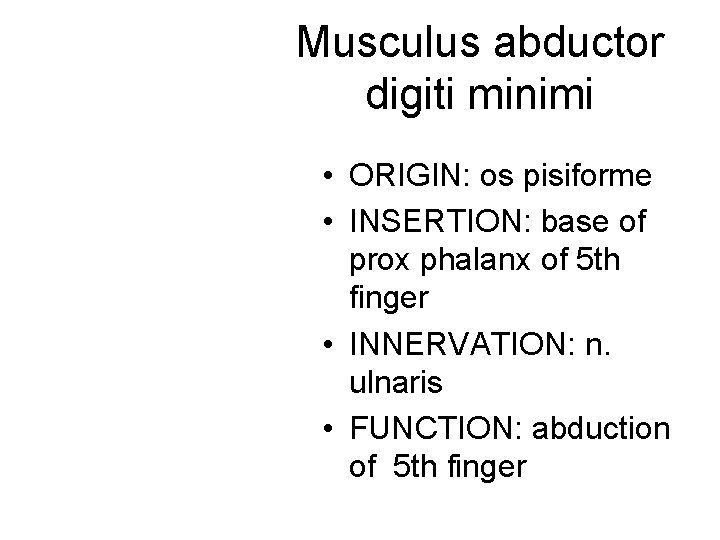 Musculus abductor digiti minimi • ORIGIN: os pisiforme • INSERTION: base of prox phalanx Musculus abductor digiti minimi • ORIGIN: os pisiforme • INSERTION: base of prox phalanx