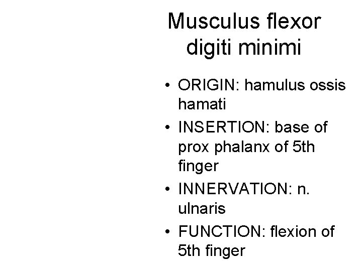Musculus flexor digiti minimi • ORIGIN: hamulus ossis hamati • INSERTION: base of prox Musculus flexor digiti minimi • ORIGIN: hamulus ossis hamati • INSERTION: base of prox