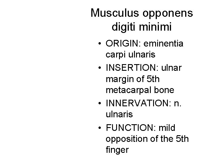 Musculus opponens digiti minimi • ORIGIN: eminentia carpi ulnaris • INSERTION: ulnar margin of Musculus opponens digiti minimi • ORIGIN: eminentia carpi ulnaris • INSERTION: ulnar margin of