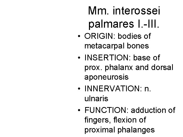 Mm. interossei palmares I. -III. • ORIGIN: bodies of metacarpal bones • INSERTION: base Mm. interossei palmares I. -III. • ORIGIN: bodies of metacarpal bones • INSERTION: base