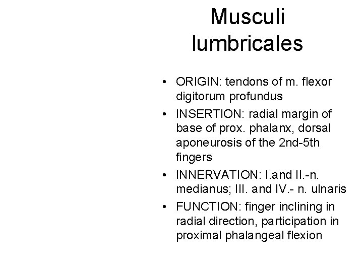 Musculi lumbricales • ORIGIN: tendons of m. flexor digitorum profundus • INSERTION: radial margin Musculi lumbricales • ORIGIN: tendons of m. flexor digitorum profundus • INSERTION: radial margin