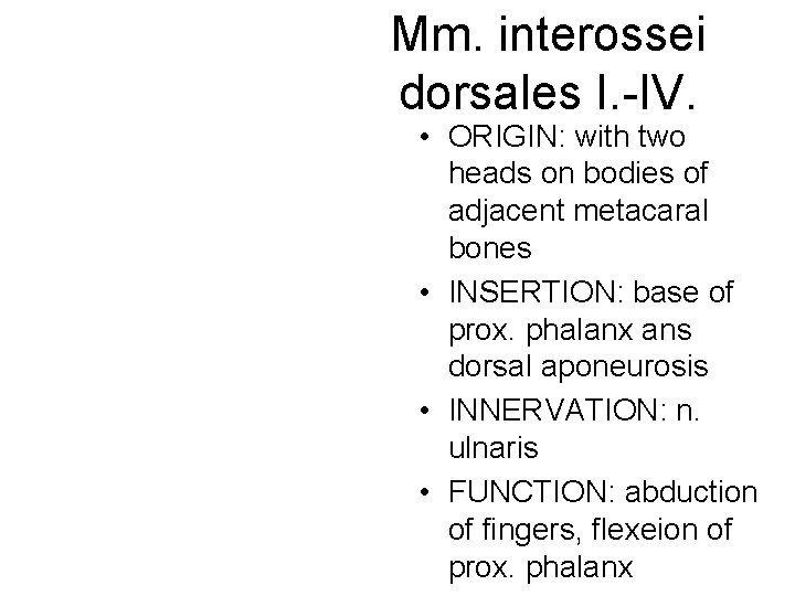 Mm. interossei dorsales I. -IV. • ORIGIN: with two heads on bodies of adjacent Mm. interossei dorsales I. -IV. • ORIGIN: with two heads on bodies of adjacent