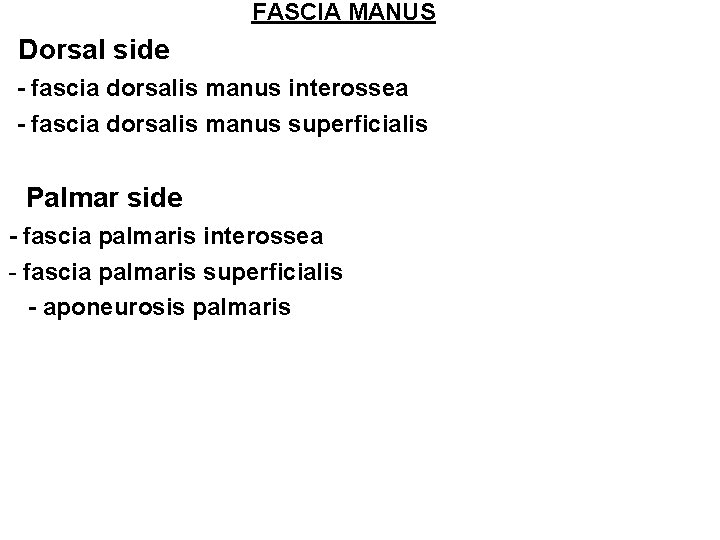 FASCIA MANUS • Dorsal side -- fascia dorsalis manus interossea -- fascia dorsalis manus FASCIA MANUS • Dorsal side -- fascia dorsalis manus interossea -- fascia dorsalis manus